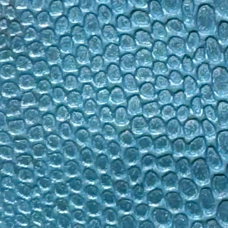 Thumbnail: snake print Earrings Bijoux Vii pastel light sky blue detail