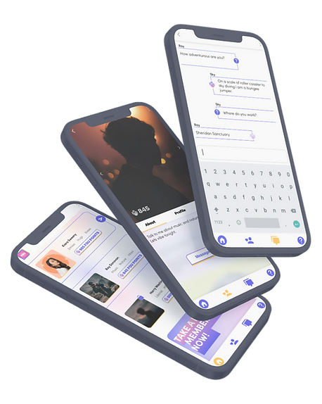 iPhone 12.png