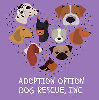 adoption_option_dog_rescue.jpg