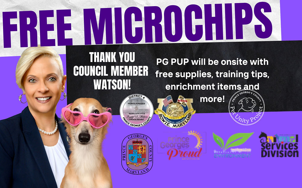 Bowie- Free Microchip Clinic for Prince George's County Residents