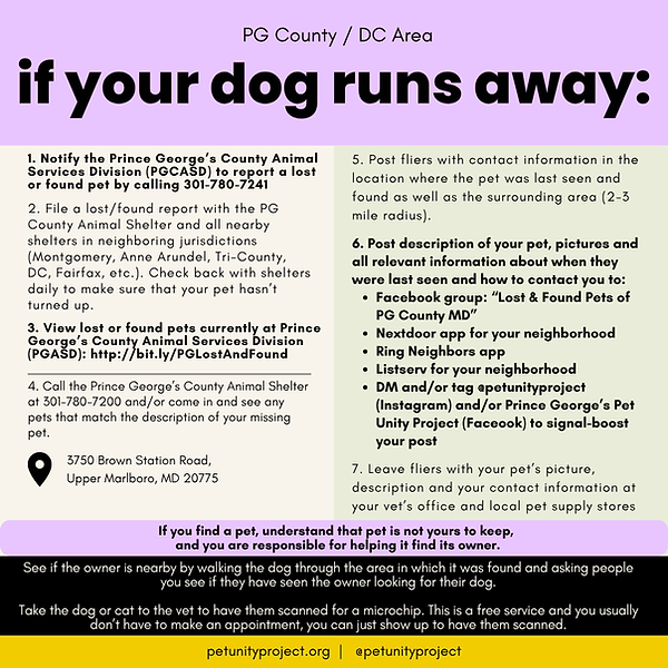 If your dog runs away.png
