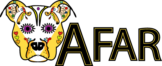 934aa3_6feb79fd36f447ea9cd1e1a179c9213c_mv2.gif