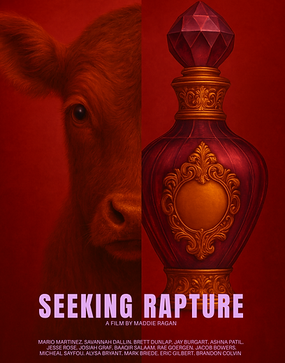 imdb poster.png