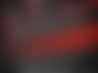 Tool Raptors May 2023