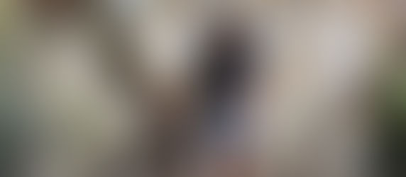 What I Wore to Disney World