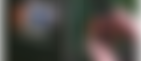 Aesthetics Challenge