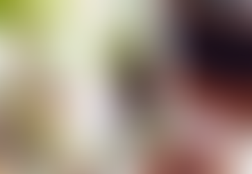 Favorite Fall Goodies!