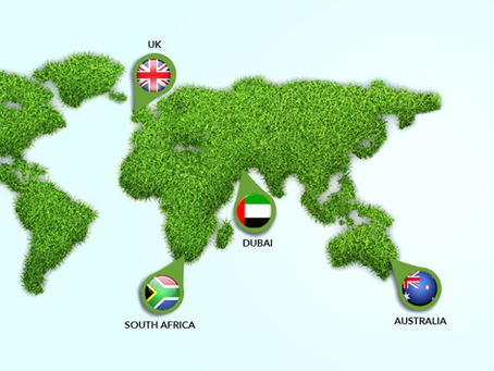 Mazegrass goes from strength to strength