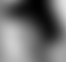 LAURA VIRGILE - El arte como herramienta de transformación social