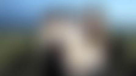 PIEL DE LAVA - Petróleo + La Flor de Mariano Llinás + Reflexiones de Cuarentena