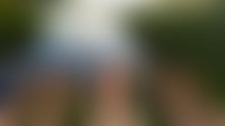 CRÓNICA DE UN VIAJE ESCRITA DURANTE LA CUARENTENA