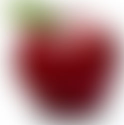 Fall Fruits and Vegetables