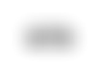 It’s Now or Never Attitude!