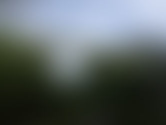 TRAVEL AND DINE WITH ME