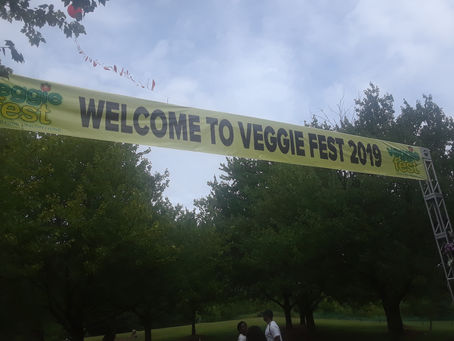 TRAVEL AND DINE WITH ME