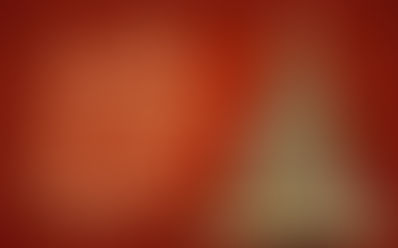 Wow your Family This Christmas!