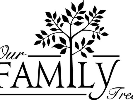 Generational Shift: The Influence of Tradition