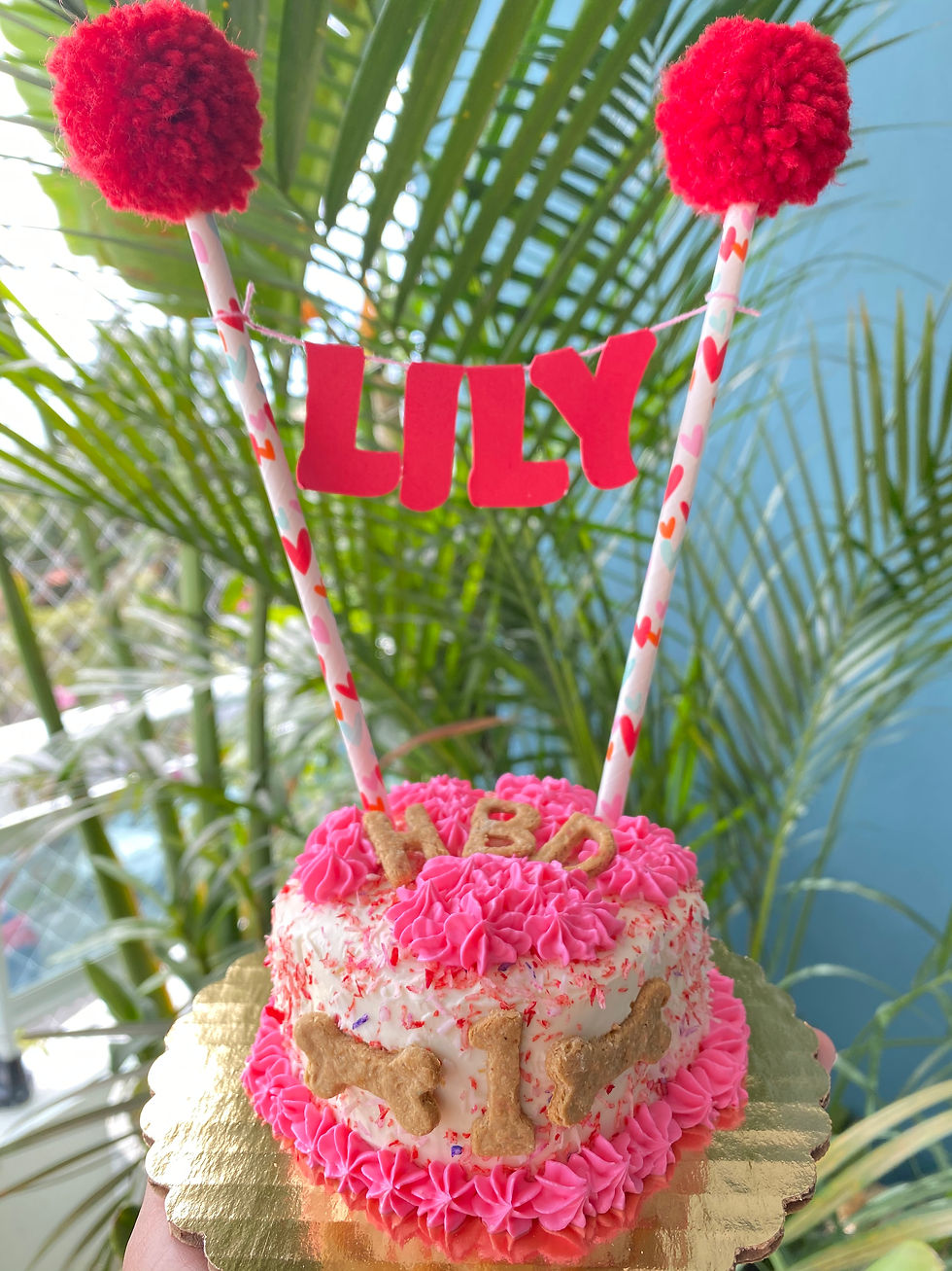 Miniatura: Pastel de Patita 4"