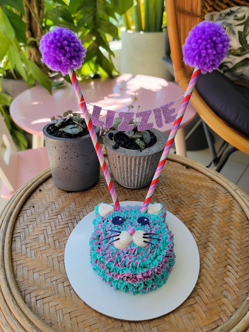 Miniatura: Pastel para gato