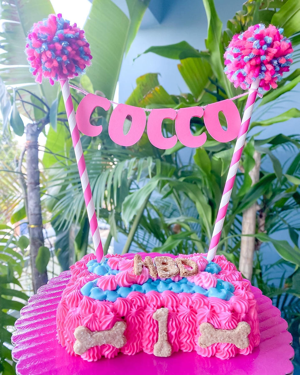 Miniatura: Pastel hueso pequeño 5”