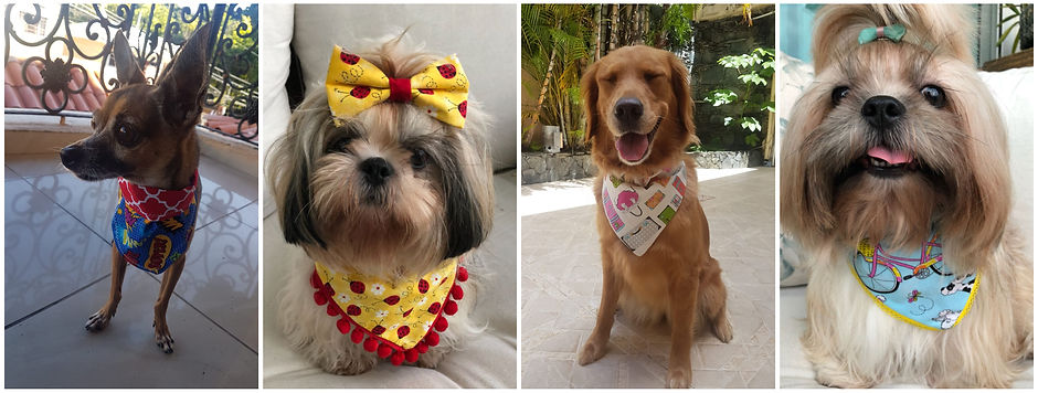 BANDANAS-collage1.jpg
