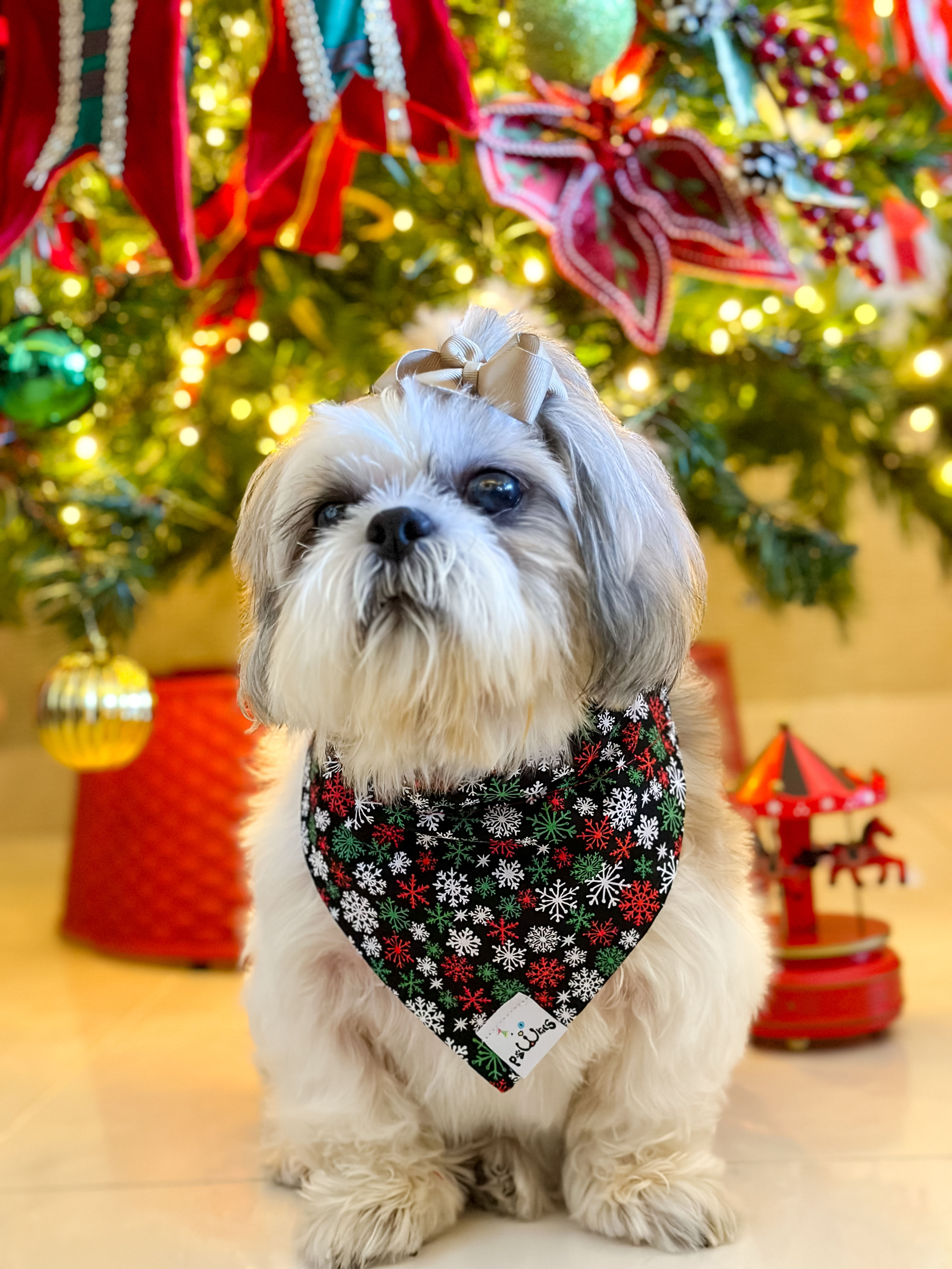 Copos de Nieve verde y rojo