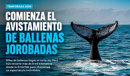 AVISTAMIENTO DE BALLENAS 2026