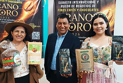 Subasta Chanchamayo 2026 
