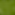 PAPIER PEINT FLEUR FIDJI VERTE fond vert v2 decale.png