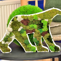 Haudeclaire de Montfort 