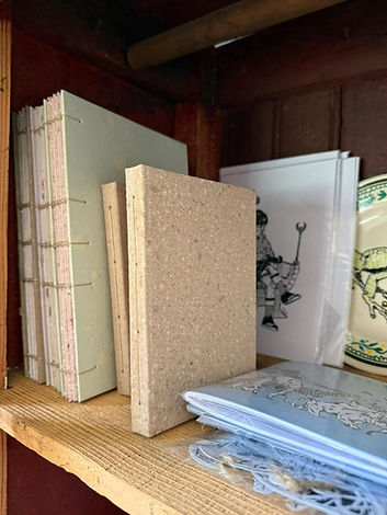 WhatsApp Image 2026-02-24 at 18.21.25 (1).jpeg