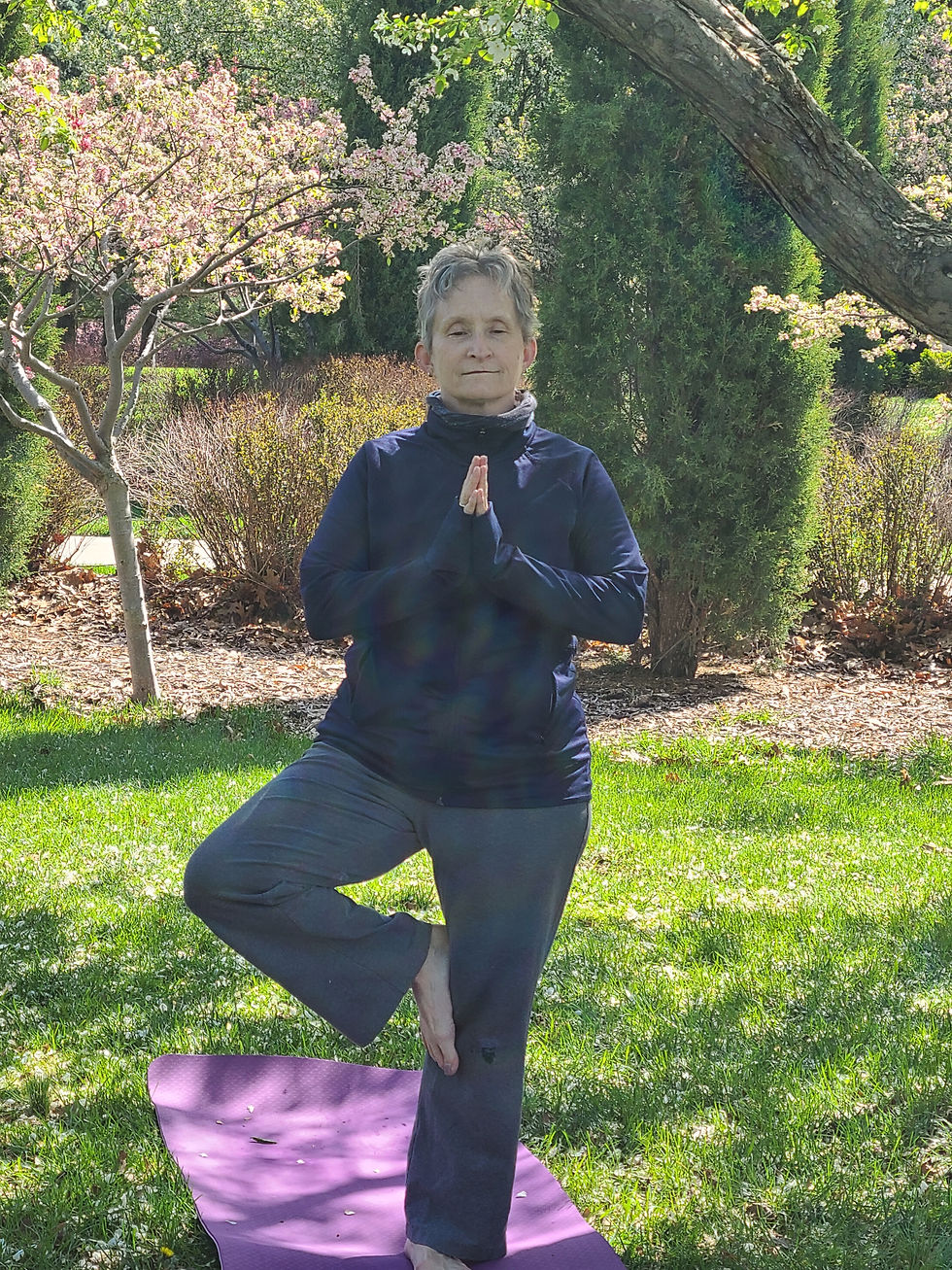 Thumbnail: Beginning Yoga Virtual Series I