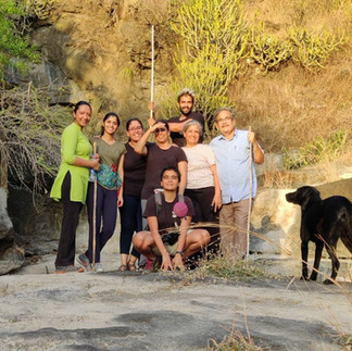 pet friendly hotel ellora caves