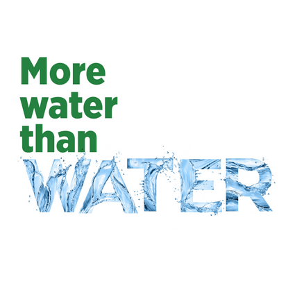 Masafi Concept 4.png