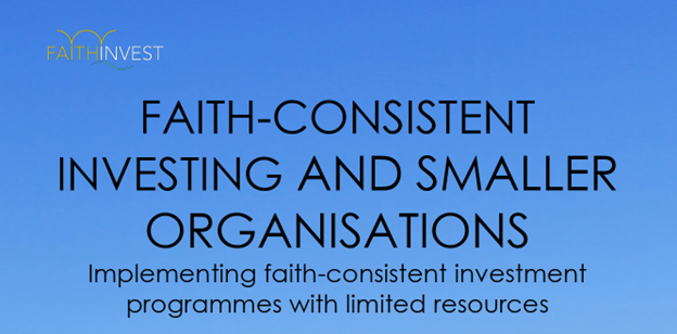 Cover of Smaller Orgs report