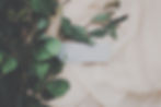 Eucalyptus Branch_edited.jpg