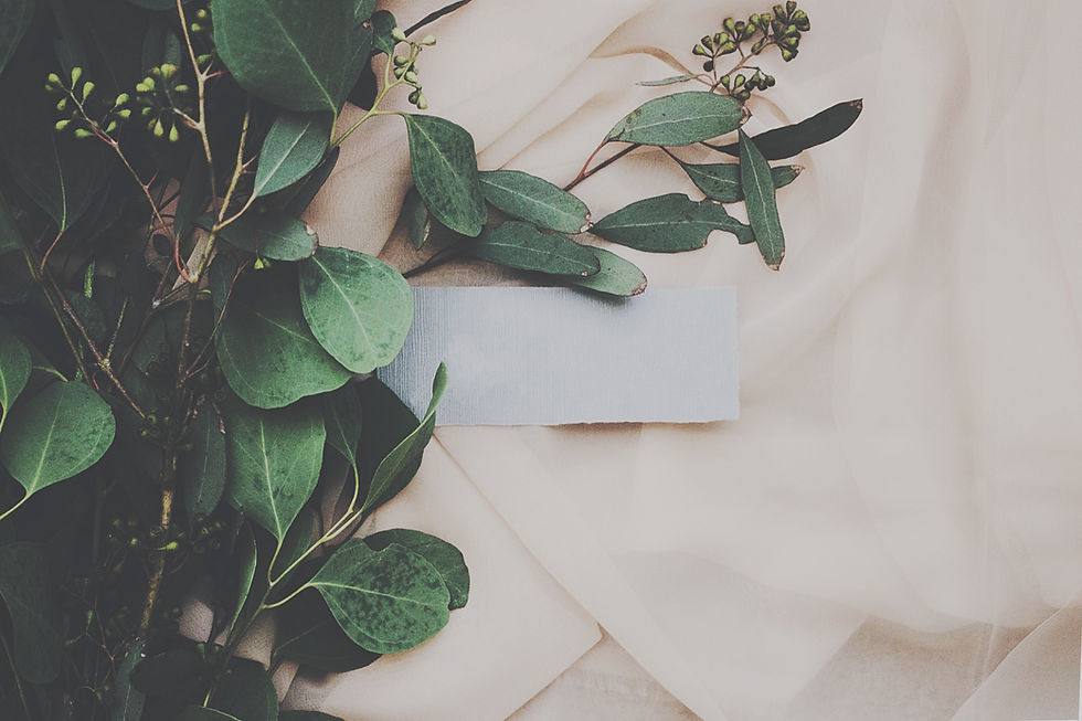 Eucalyptus Branch_edited.jpg