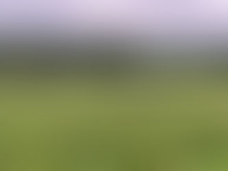 Tutkimusmatka Japanin viinitiloille