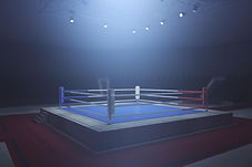 IMG 9.jpg