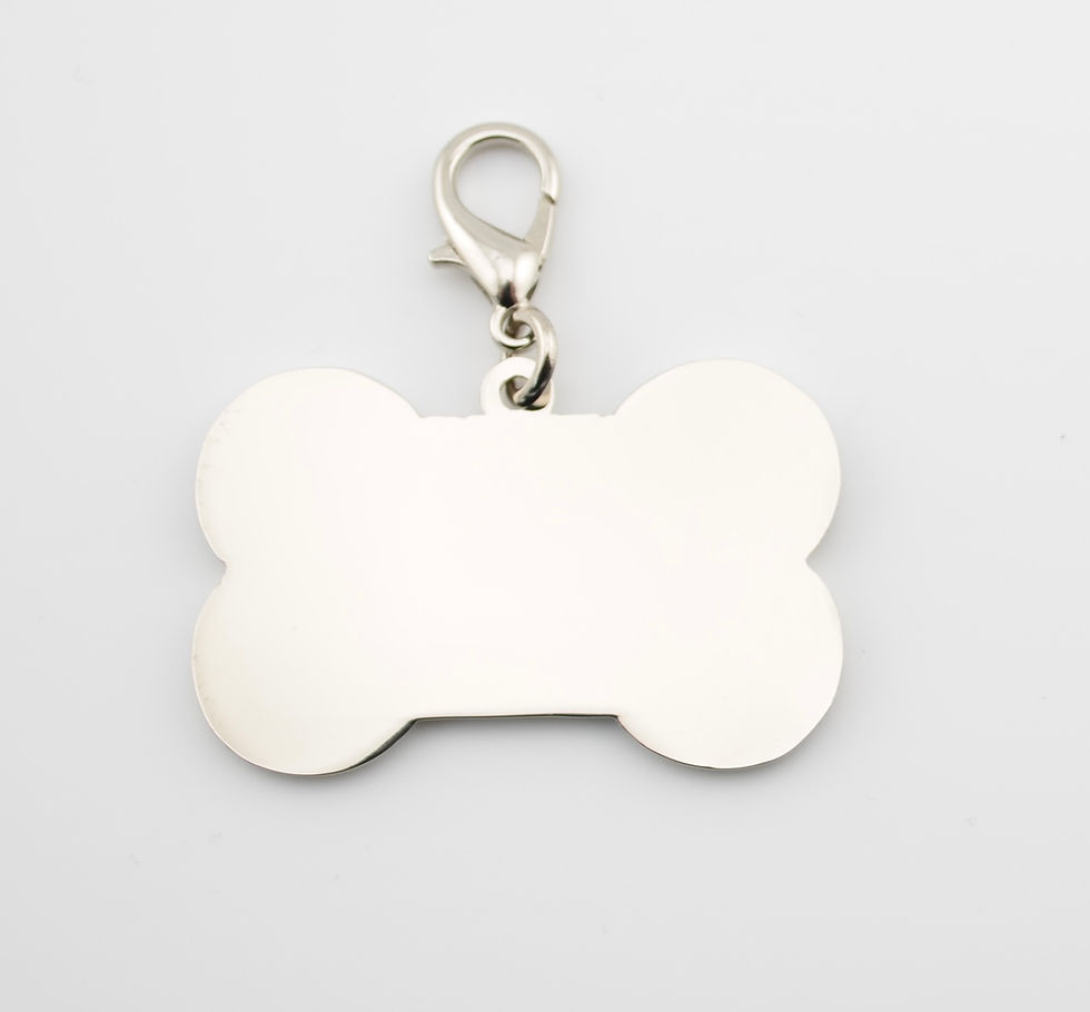 Thumbnail: Dog tag back