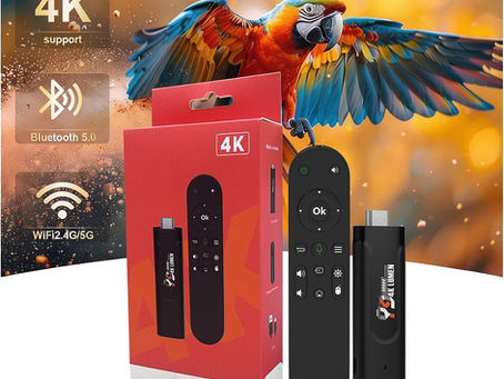 Understanding TroyVision Video On Demand and Home Network Security