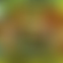 Handbells as never seen before