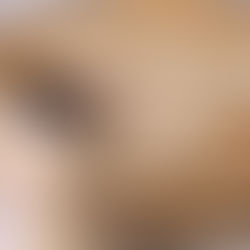 Searchers - Communion