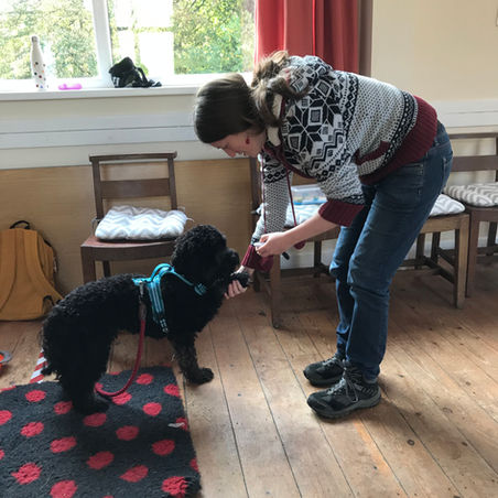 Archie Illustrates a Bible Text