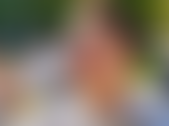 Influencer Marketing and UGC Content: Expert Predictions for 2026