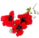DSC01815_edited_edited.png