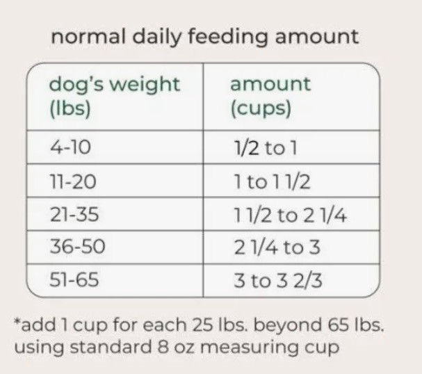 WIX FEED SCHEDULE.jpg
