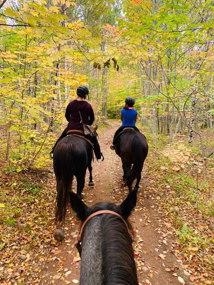 Health Benefits of Horseback Riding