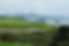 New Zeland Gold & Wine Tour
