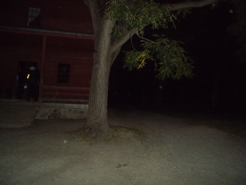 DSCN6789